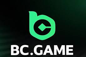 Nigeria's Thriving Online Gambling Scene with BCGamebet